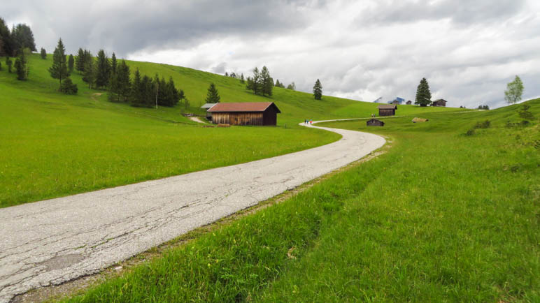 Auf dem Weg durch die Buckelwiesen zur Goas-Alm