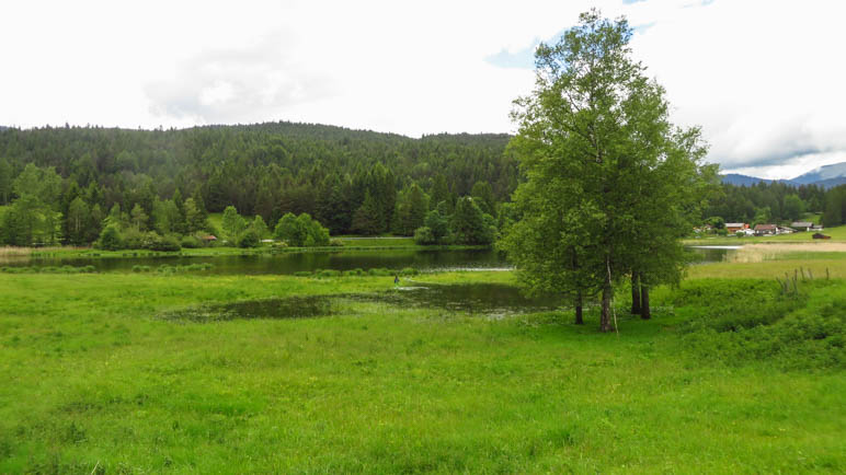 Am Schmalensee