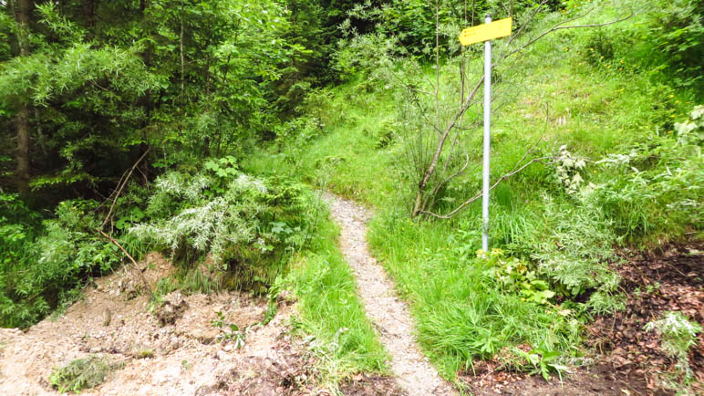 Schon nach wenigen Minuten biegt der Weg auf diesen schönen Bergpfad ab