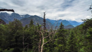 Zum ersten Mal Bergblick. Und einen Zipfel vom Sylvenstein sehen wir auch