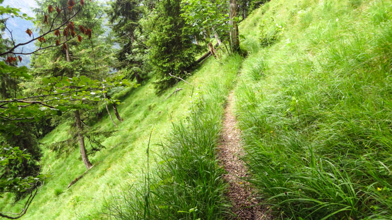 Der schmale Weg am steilen Berghang