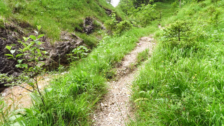 Schöner Wildbach und schmaler Bergpfad