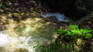 In der Schleifmühlenklamm kann man auch im Bach stehen, sogar direkt oberhalb vom Wasserfall