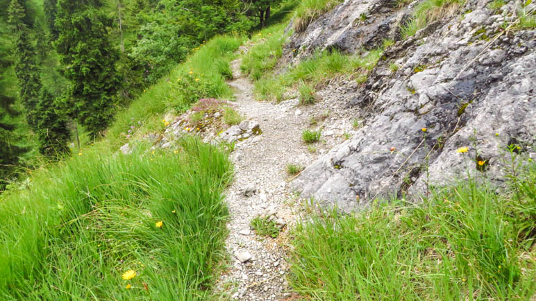 Ein schmaler Pfad über die steile Bergwiese