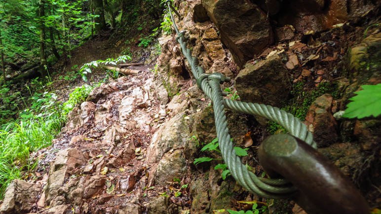 Sogar ein kurzes Stück mit Seilsicherung gibt es auf dem Weg durch die Schleifmühlenklamm