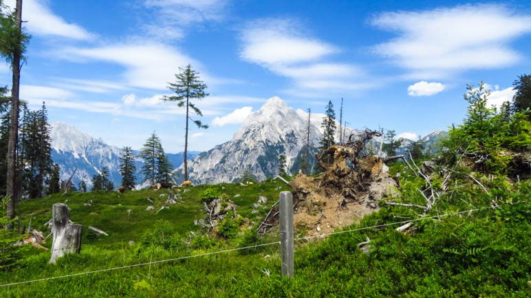 Noch einmal der Blick auf den Großen Ödstein, diesmal von der Kuhweide aus