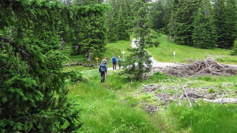 An der Kreuzung, hier allerdings schon im Abstieg. Hier treffen sich die Wege zu Mödlinger Hütte, Klinkehütte, Kalbling und Lahngang.