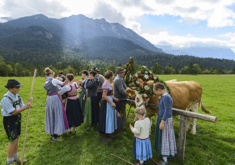 Almabtriebe in der Zugspitz Region – Foto: www.zugspitz-region.de / Wolfgang Ehn