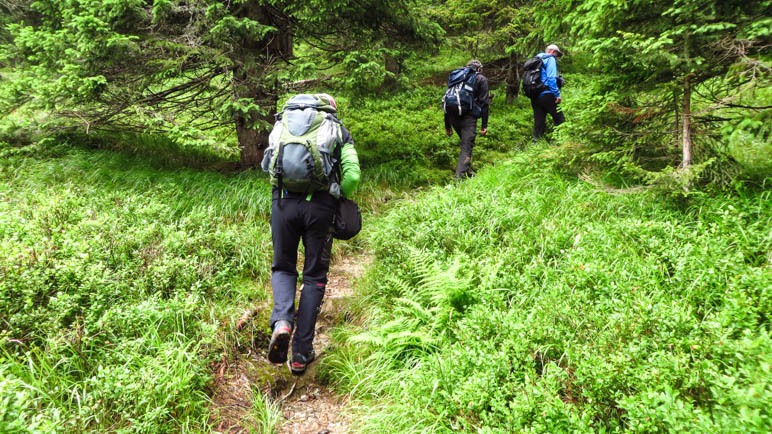 Aufstieg im Wald, der überwiegend steil verläuft