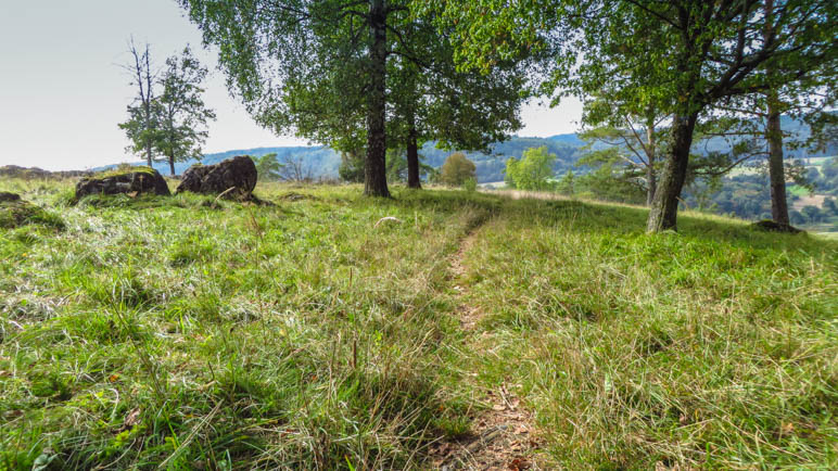 Auf diesen kleinen Pfad muss ich abzweigen, nicht auf dem breiten Weg bleiben