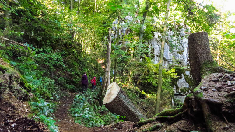 In der Klamm