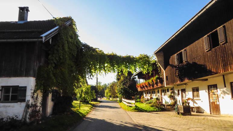 Unter einem grünen Tor hindurch zum Grasleitensteig