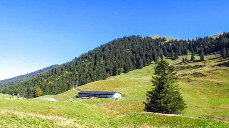 Auf der Seekaralm