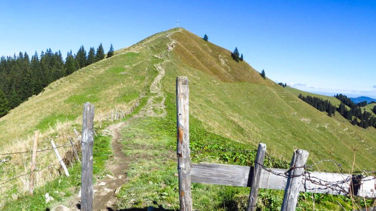 Der letzte Anstieg zum Seekarkreuz