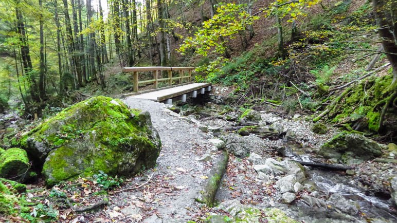 Auf dem Sulzersteig, da haben wir die vielen Serpentinen schon hinter uns