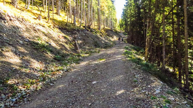 Sieht übel aus: Die Forstautobahn, die mal der Grasleitensteig war