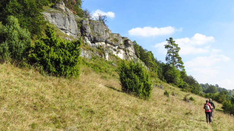 Ein schmaler Wanderweg am Hang, oberhalb die Felsen - im Gebiet der Gungoldinger Wacholderheide