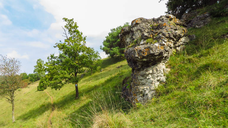 Auf dem Wiesenpfad nach Solnhofen - Auf dem Altmühltal-Panoramaweg