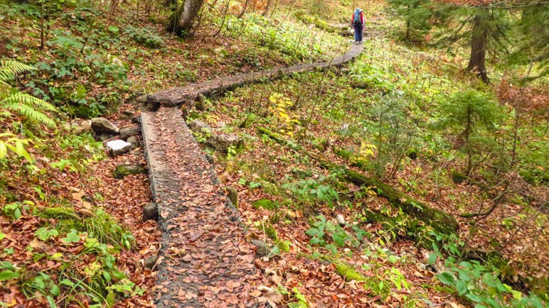 Der Bretterweg hilft, über den stärksten Matsch zu kommen