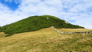 Entlang der Mauer in die Latschen und dann auf den Gipfel des Hochmiesing