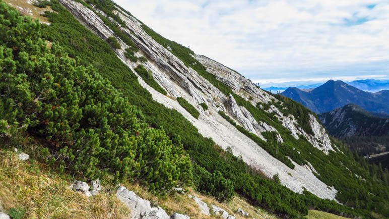 Ein Fest für Geologen: Schräg geschichtete Felsplatten. An dieser Stelle führt der Weg direkt an einem kurzen Abbruchkante entlang