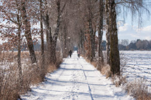 Rückweg über die Allee