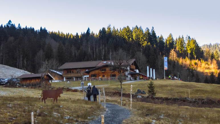 Die Alpe Dornach