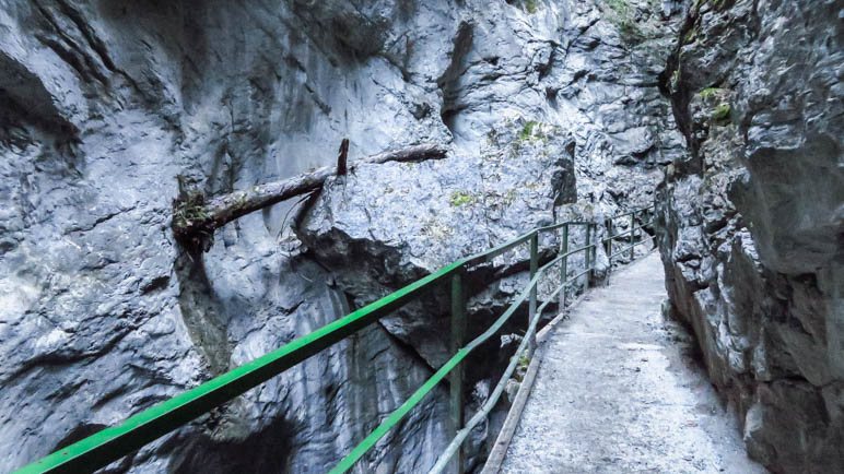 Auf dem Weg durch die Breitachklamm. Wie ist der Baumstamm da hingekommen?