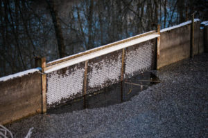 Gitter mit Eismuster am Fischweiher