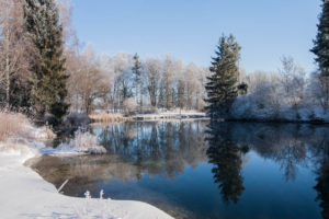 Der Weiher an den Semptquellen