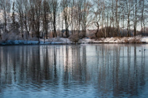 Ufer Semptquellenweiher