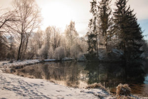 Semptweiher im Schnee