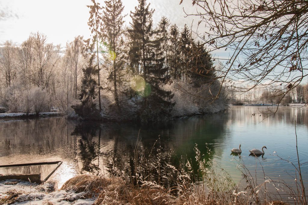 Am Weiher an den Semptquellen