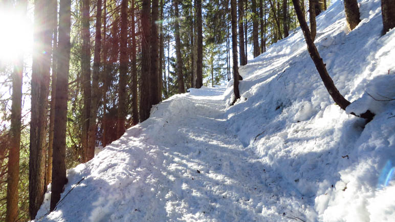 Aufstieg zur Taubenseehütte durch den Wald