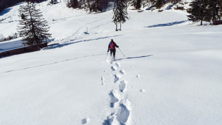 Bergab rennen auf Schneeschuhen. Geht.