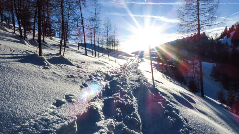 Der Sonne entgegen, vom schattigen Taubensee zurück zur Taubenseehütte