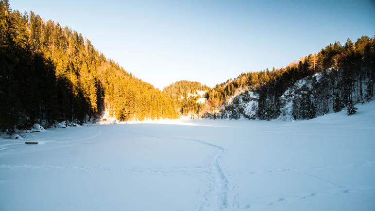 Am Taubensee