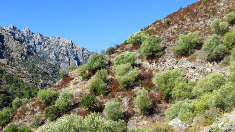 Wanderweg am Berghang im vorderen Tavignanotal