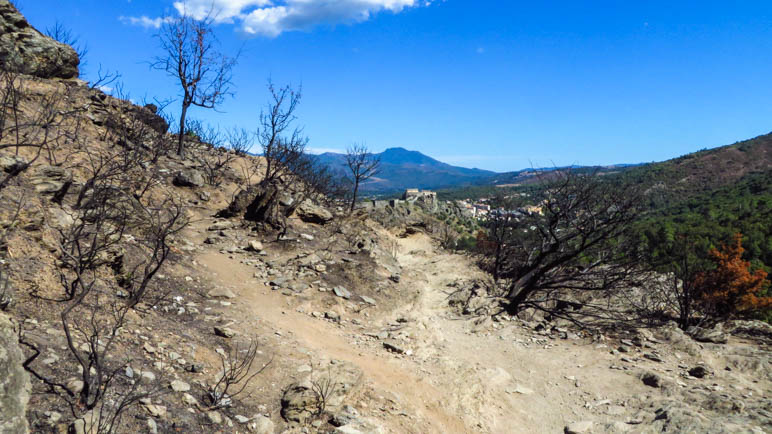 Noch einmal führt der Weg durch das Waldbrandgebiet, jetzt mit Blick auf die Festung von Corte