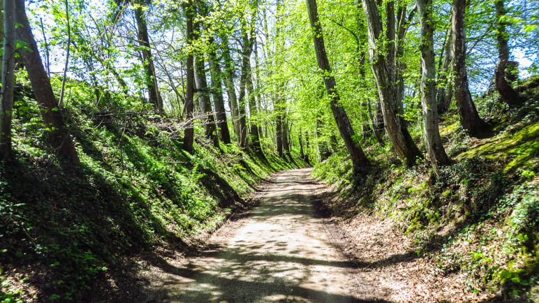 Auf dem Weg von Rimsting in das Westenbachtal