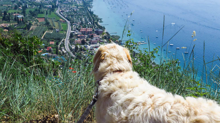 Der Wanderer blickt auf Bardolino