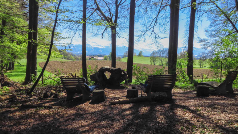 Der Platz der Ruhe: Bergblick aus dem Wald heraus