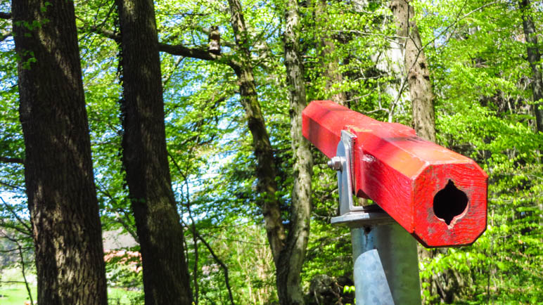 Was sieht man wohl durch dieses Fernrohr im Wald?