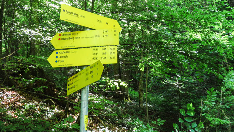 Hier zweigt der Hutzeneuaer Steig ab. Jetzt wird der Weg ein schwarzer Bergsteig