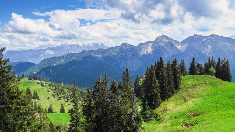 Bergpanorma auf dem Aufstieg über die Almwiesen