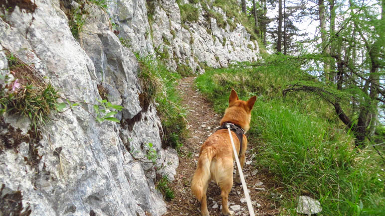 Der Weg führt an einer Felswand entlang