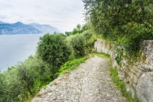 Der Karrenweg bergab, wieder mit Gardaseeblick
