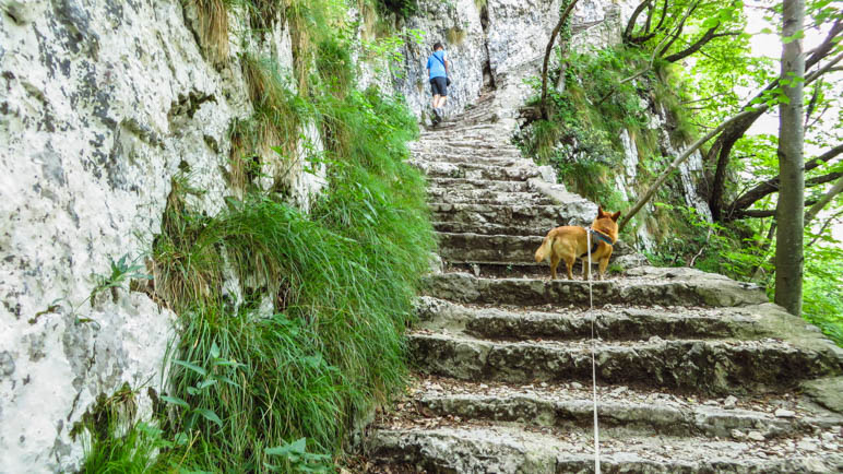 Weitere Treppen hnauf