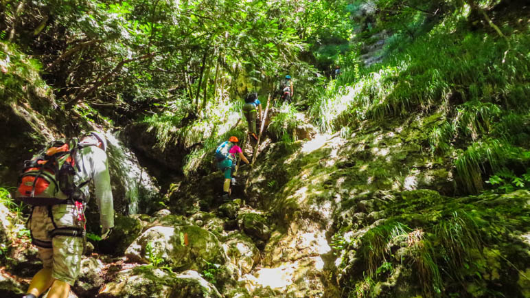 Auf den letzten Leitern vor dem Ausstieg aus dem Klettersteig