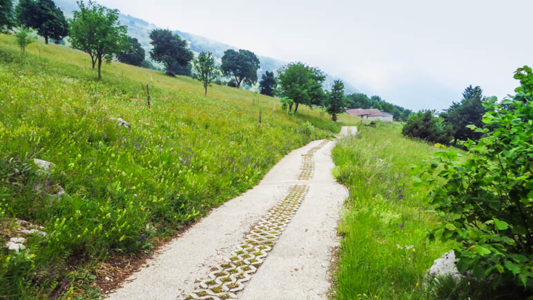 Auf dem Betonplattenweg